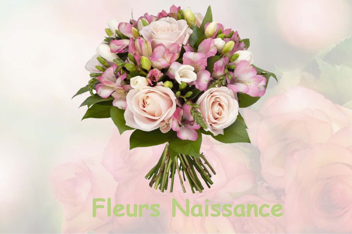 fleurs naissance AUBRY-DU-HAINAUT